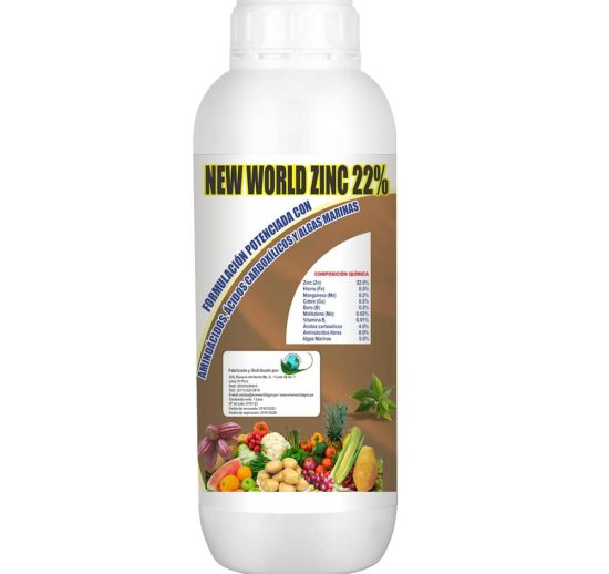New World Zinc 22%